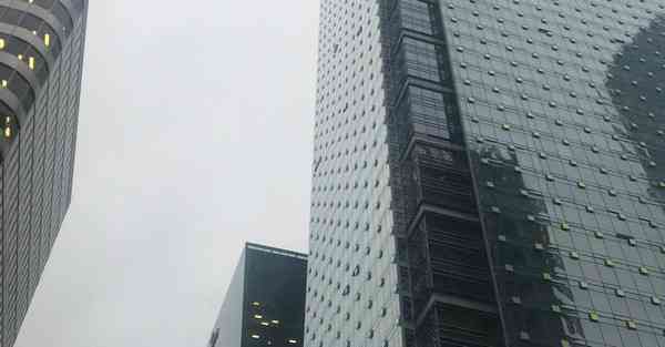布谷加速器下载